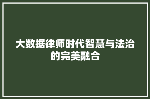 大数据律师时代智慧与法治的完美融合  第1张