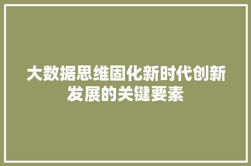 大数据思维固化新时代创新发展的关键要素