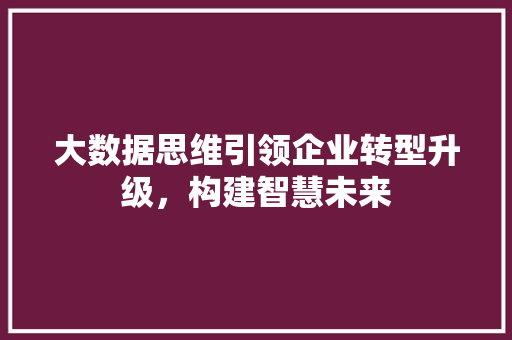 大数据思维引领企业转型升级，构建智慧未来