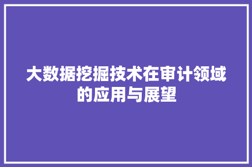 大数据挖掘技术在审计领域的应用与展望
