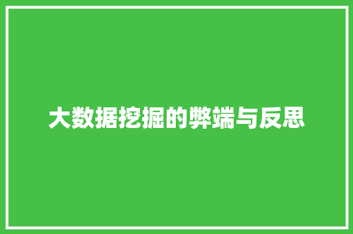 大数据挖掘的弊端与反思