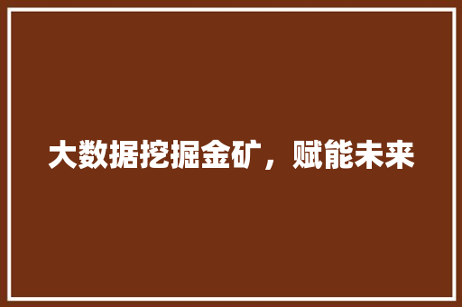大数据挖掘金矿，赋能未来
