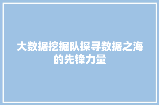 大数据挖掘队探寻数据之海的先锋力量