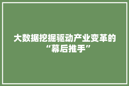 大数据挖掘驱动产业变革的“幕后推手”
