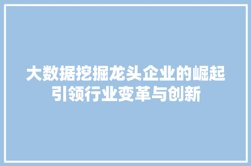 大数据挖掘龙头企业的崛起引领行业变革与创新