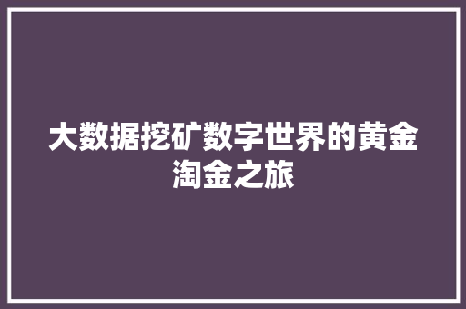 大数据挖矿数字世界的黄金淘金之旅