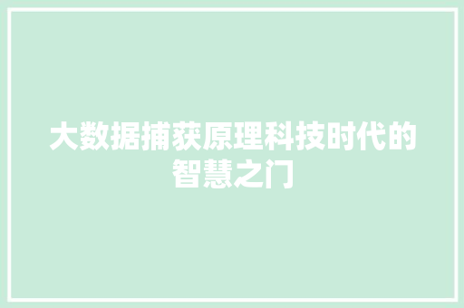 大数据捕获原理科技时代的智慧之门