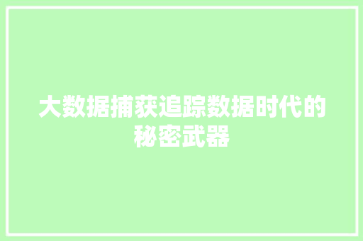 大数据捕获追踪数据时代的秘密武器