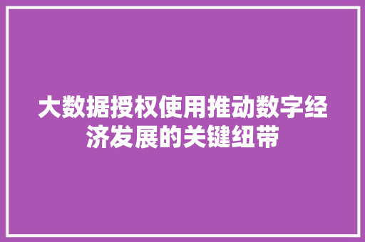 大数据授权使用推动数字经济发展的关键纽带