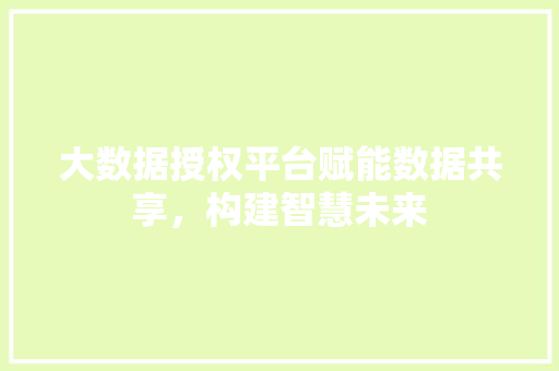 大数据授权平台赋能数据共享，构建智慧未来