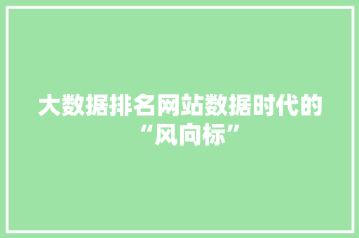 大数据排名网站数据时代的“风向标”