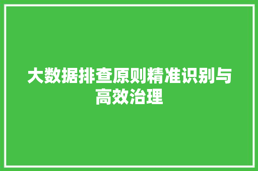 大数据排查原则精准识别与高效治理  第1张