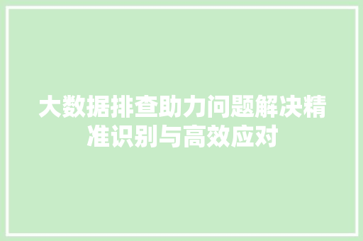 大数据排查助力问题解决精准识别与高效应对