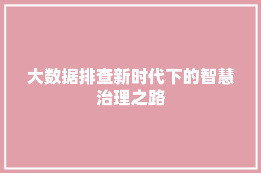 大数据排查新时代下的智慧治理之路