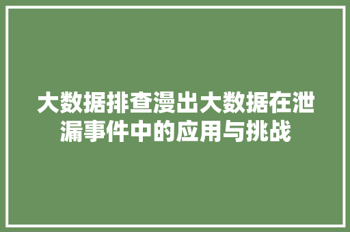 大数据排查漫出大数据在泄漏事件中的应用与挑战