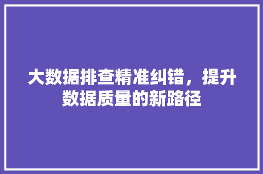 大数据排查精准纠错，提升数据质量的新路径  第1张
