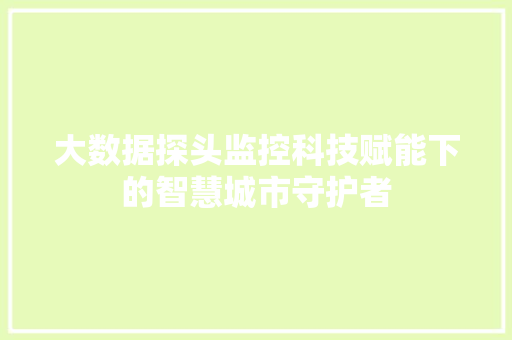 大数据探头监控科技赋能下的智慧城市守护者