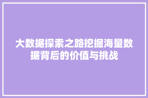 大数据探索之路挖掘海量数据背后的价值与挑战