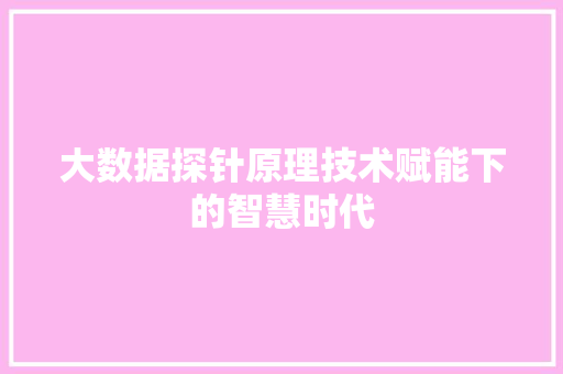 大数据探针原理技术赋能下的智慧时代