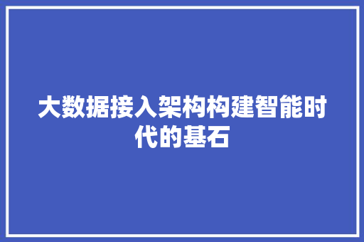 大数据接入架构构建智能时代的基石