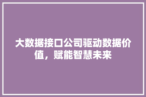 大数据接口公司驱动数据价值，赋能智慧未来  第1张