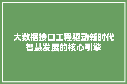 大数据接口工程驱动新时代智慧发展的核心引擎  第1张