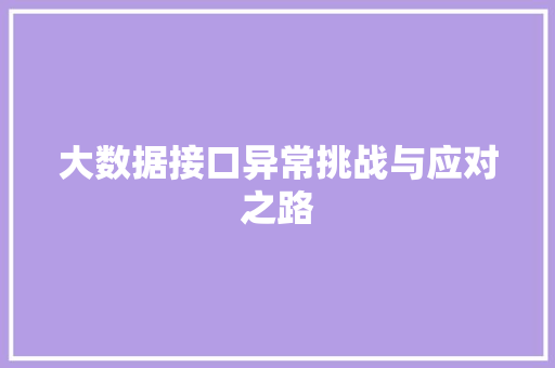 大数据接口异常挑战与应对之路  第1张