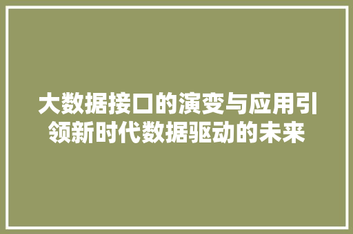 大数据接口的演变与应用引领新时代数据驱动的未来  第1张