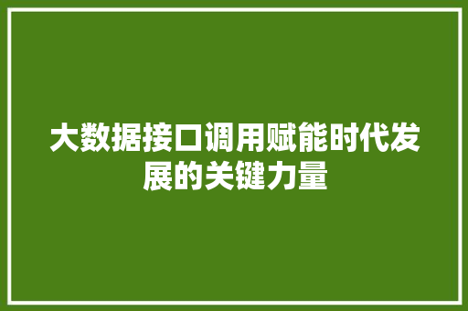 大数据接口调用赋能时代发展的关键力量  第1张
