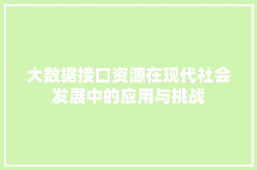 大数据接口资源在现代社会发展中的应用与挑战  第1张