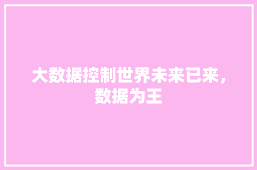 大数据控制世界未来已来，数据为王  第1张