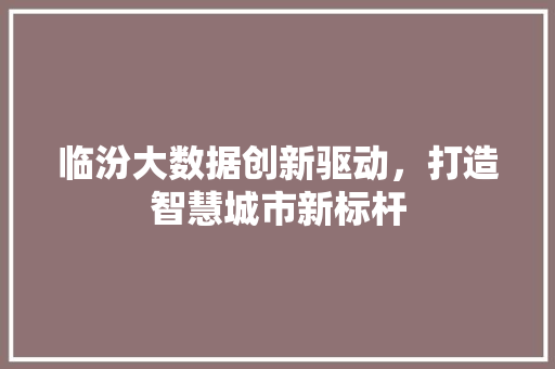 临汾大数据创新驱动，打造智慧城市新标杆