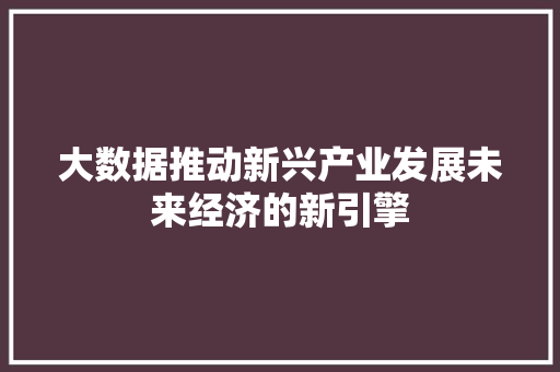 大数据推动新兴产业发展未来经济的新引擎