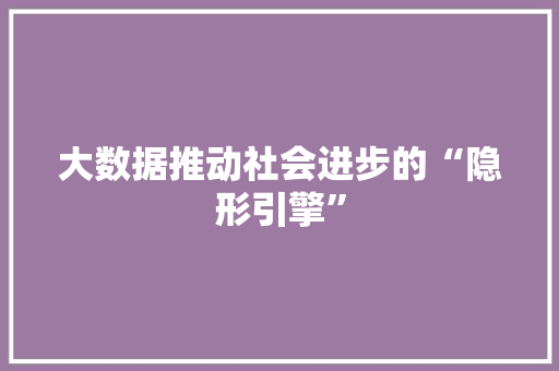 大数据推动社会进步的“隐形引擎”