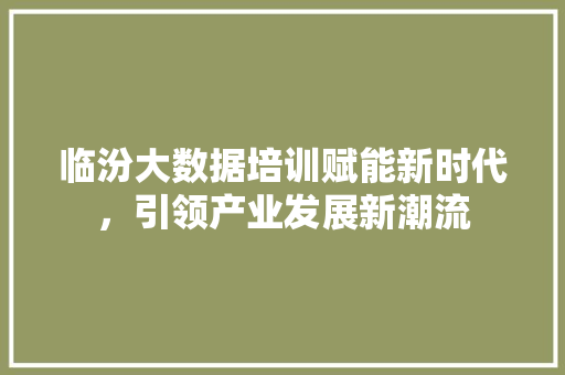 临汾大数据培训赋能新时代，引领产业发展新潮流