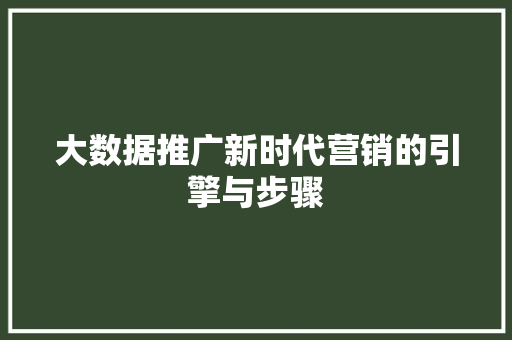 大数据推广新时代营销的引擎与步骤  第1张