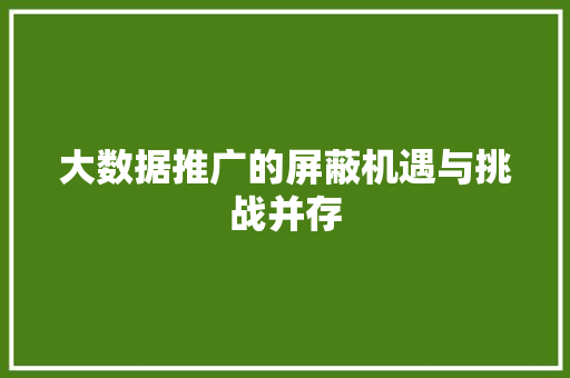 大数据推广的屏蔽机遇与挑战并存