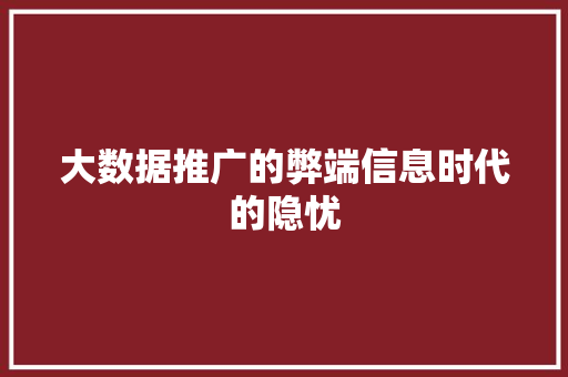 大数据推广的弊端信息时代的隐忧  第1张