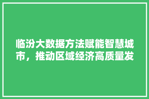 临汾大数据方法赋能智慧城市，推动区域经济高质量发展