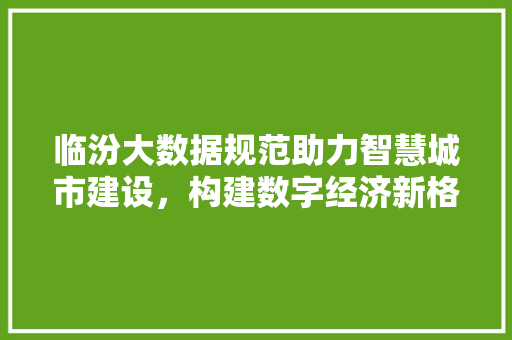 临汾大数据规范助力智慧城市建设，构建数字经济新格局