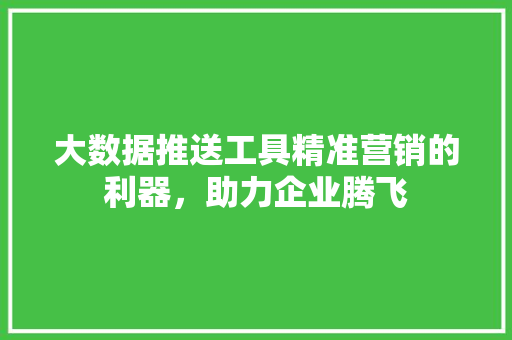 大数据推送工具精准营销的利器，助力企业腾飞