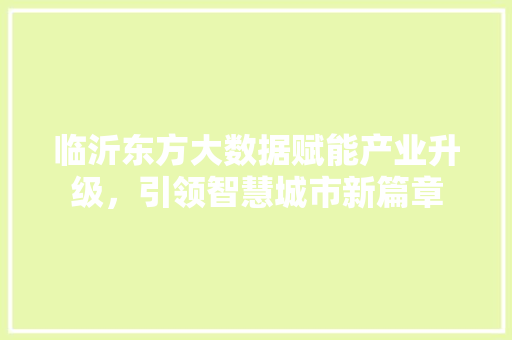 临沂东方大数据赋能产业升级，引领智慧城市新篇章