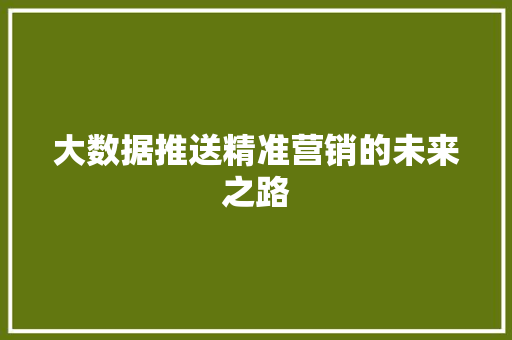 大数据推送精准营销的未来之路  第1张