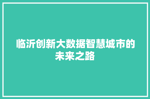 临沂创新大数据智慧城市的未来之路