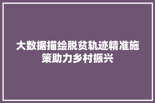 大数据描绘脱贫轨迹精准施策助力乡村振兴