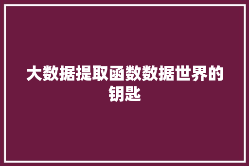 大数据提取函数数据世界的钥匙