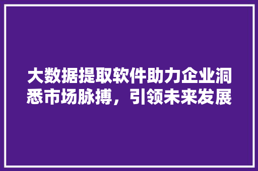 大数据提取软件助力企业洞悉市场脉搏，引领未来发展趋势  第1张