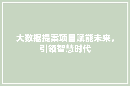 大数据提案项目赋能未来，引领智慧时代