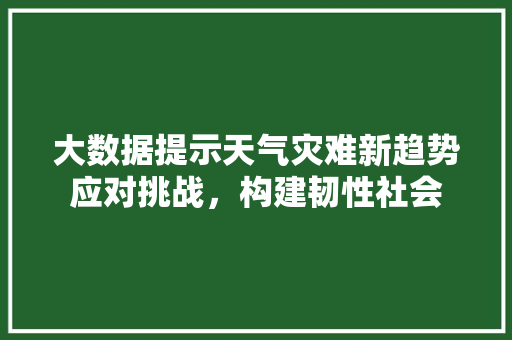 大数据提示天气灾难新趋势应对挑战，构建韧性社会