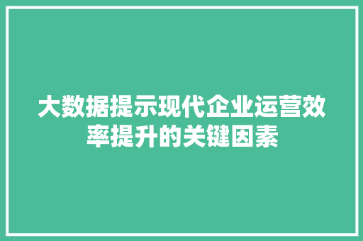 大数据提示现代企业运营效率提升的关键因素
